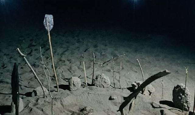 Caretta carettalar Gazipaşa sahiline yumurtalarını bıraktı