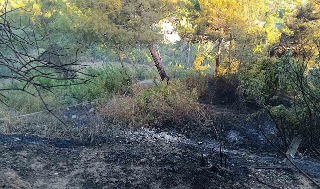 Defne'nde yanan traktör zarar gördü