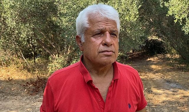 Doğa harikası Yeşilgöl'de beğeni uğruna doğa katliamına Prof. Dr. Gökoğlu'ndan tepki