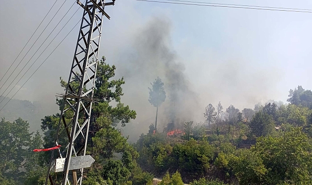 Evde çıkan yangın, bitişikteki ev, ahır ve ormana sıçradı; alevlere müdahale ediliyor