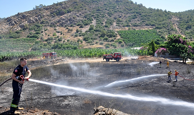 Gazipaşa'da çalılık yangını