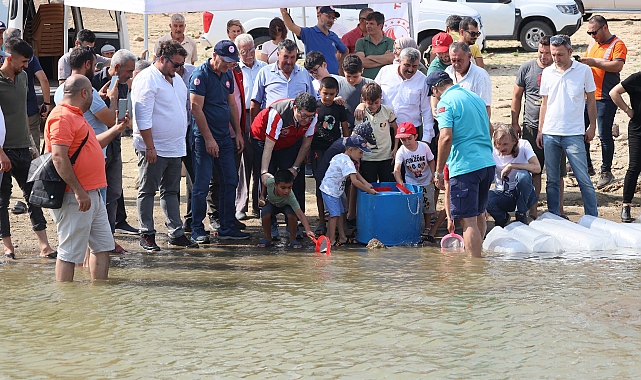 Geyik Barajı'na 100 bin yavru balık bırakıldı
