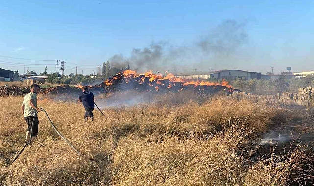 Hassa'da saman balyaları alevlere teslim oldu