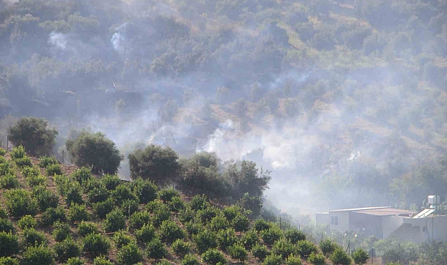 Hatay'daki orman yangını 4 saatlik müdahaleyle kontrol altına alındı