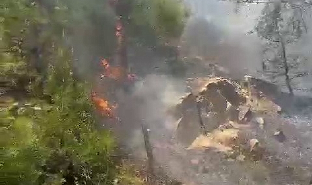 Kahramanmaraş'ta orman yangını