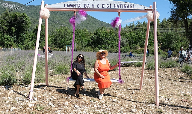 Kemer'de lavanta hasadı