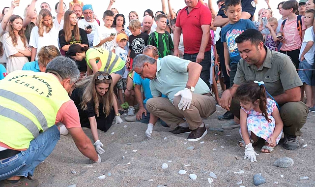 Kemer'de son 30 yılın yavrulu caretta caretta rekoru bekleniyor