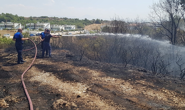 Manavgat'ta çalılık yangını