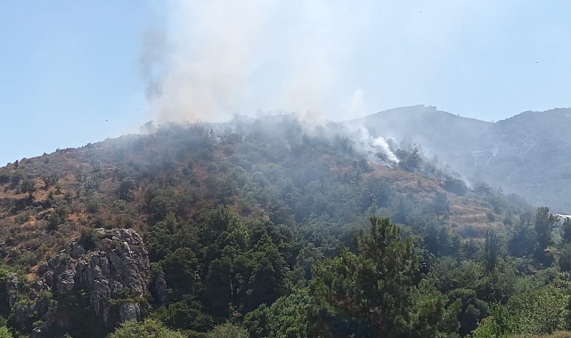 Mersin'de orman yangınına, havadan ve karadan müdahale ediliyor