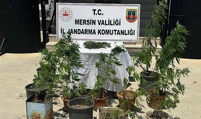 Mersin'de uyuşturucu operasyonu: 2 kişi yakalandı