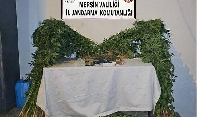 Mersin'de uyuşturucu üretip satan şüpheli yakalandı