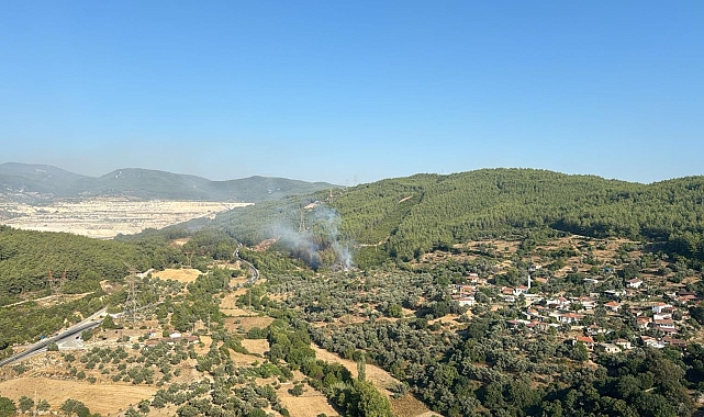 Milas'ta çıkan yangın söndürüldü