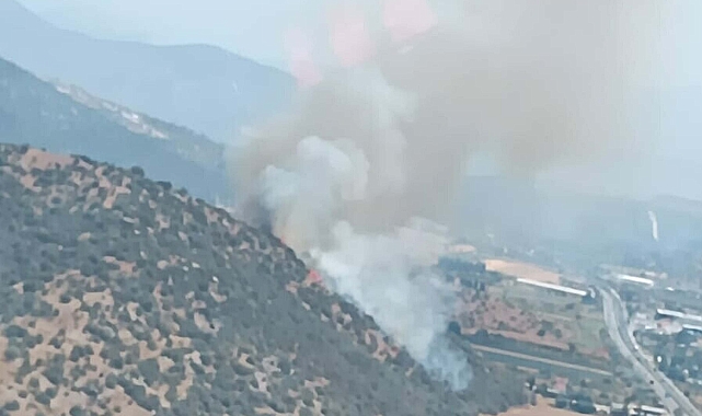 Milas'ta makilik ve tarım arazisinde yangın