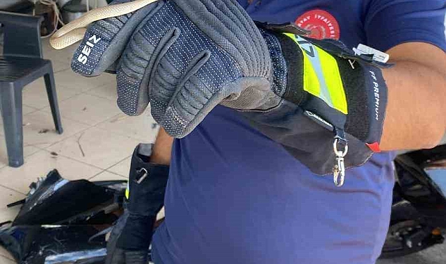 Motosikletin motor kısmına giren yılanı itfaiye yakaladı