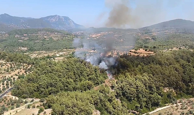 Muğla'da orman yangını