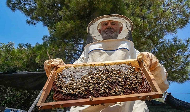 Oğlunun ölümünün ardından dedesinden kalma arıcılık mesleğiyle hayata tutundu
