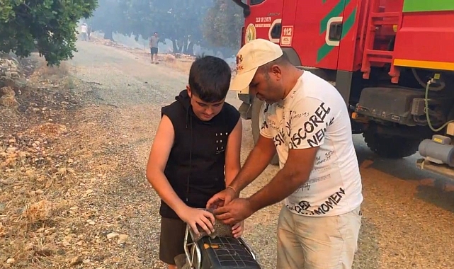 Orman yangınında kirpiyi yanmaktan kurtarıp serinlettiler