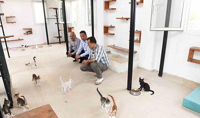 Özyiğit: "3 aylık bir sürede 11 köpeğimizi sahiplendirdik"