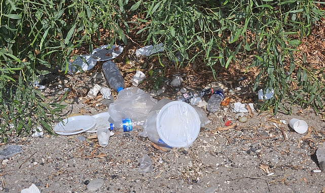 Plajda 'plastik' tepkisi