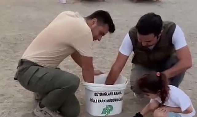 Sahilde mahsur kalan 23 caretta caretta yavrusu denize ulaştırıldı