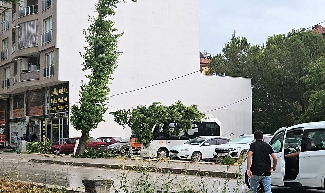 Şiddetli rüzgar ağaçları devirdi