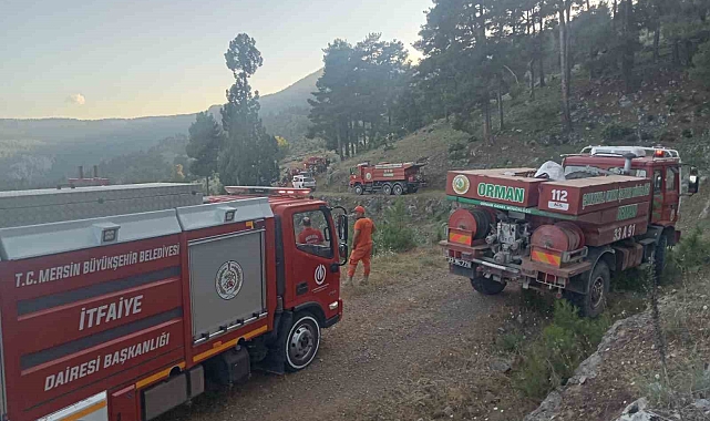 Tarsus'ta orman yangını kısa sürede söndürüldü