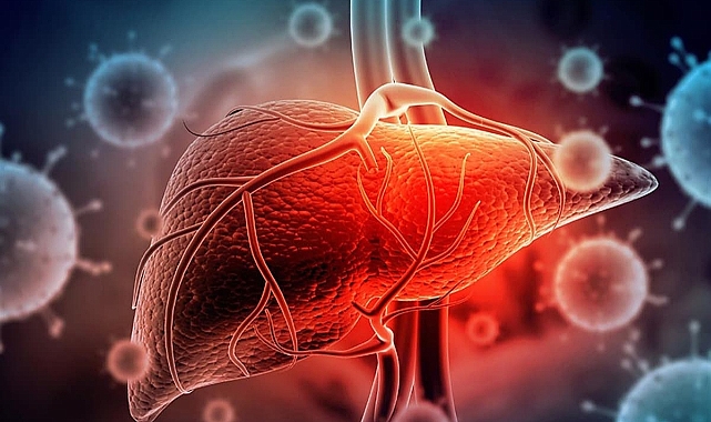 Tedavi Edilmeyen Hepatit Ölümcül Olabiliyor!