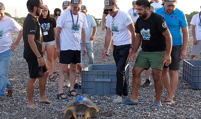 Uydu izleme cihazı takılan kaplumbağalar, denize bırakıldı