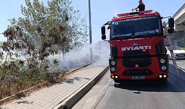 Yol kenarına atılan sigara izmariti yangın çıkardı