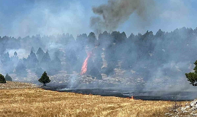 Anız yangını ormana sıçradı, ekipler müdahale ediyor