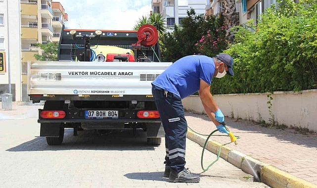 Antalya Büyükşehir vektörle mücadele çalışmalarını sürdürüyor