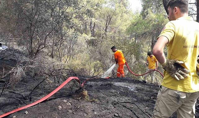 Antalya Kemer'de çıkan orman yangını kontrol altına alındı
