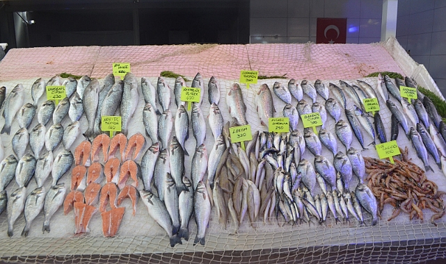 Balık Fiyatları Et Fiyatlarıyla Yarışıyor