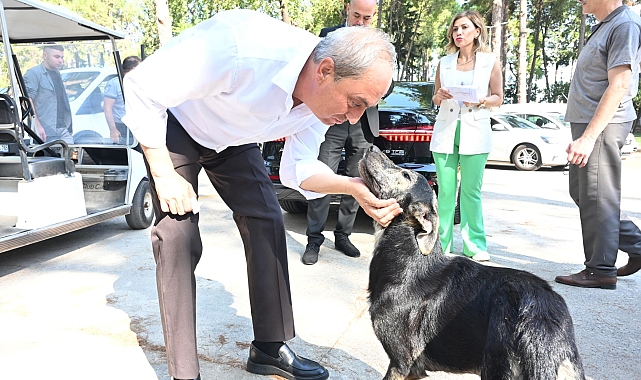 Başkan Kocagöz: 'Köpek yakıldı' iddiaları asılsız