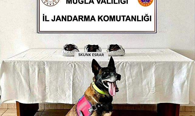 Bodrum'a yolcu otobüsüyle uyuşturucu sevkiyatına; 2 gözaltı