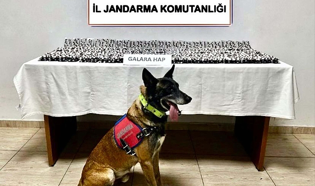Bodrum'da 4 bin 756 sentetik hap ele geçirildi