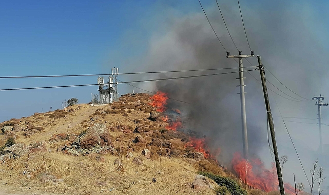 Bodrum'da otluk ve makilik yangını