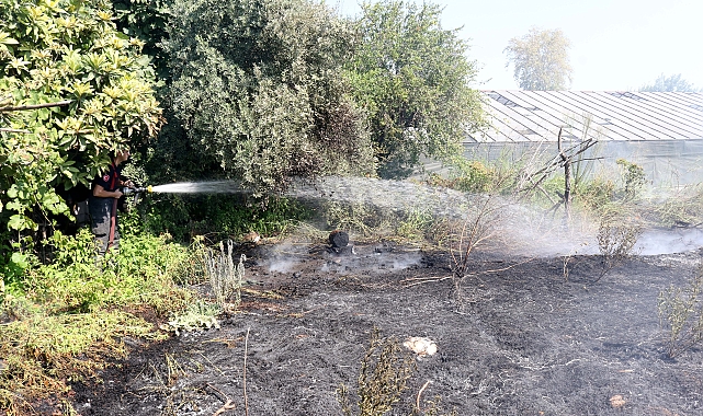 Boş arazide çıkan yangın seralara ulaşmadan söndürüldü