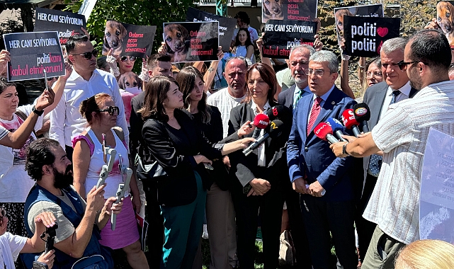 CHP'den, AYM'ye sokak hayvanları yasasının iptali başvurusu