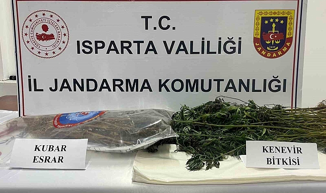 Isparta'da uyuşturucu operasyonu: 1 tutuklama