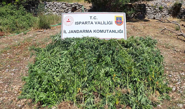 Isparta'da uyuşturucu operasyonu: Çok sayıda malzeme ele geçirildi