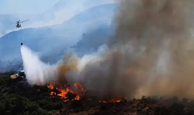 İzmir'de Yamanlar'daki Orman Yangını Hızla Yayılıyor! Ekipler Seferber Oldu