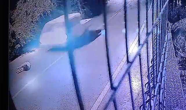 Kamyonetin ezdiği köpek öldü, o anlar kamerada
