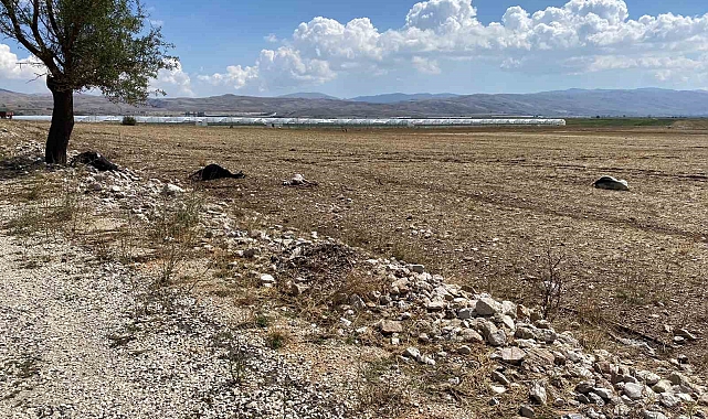 Korkuteli'nde su baskını sebebiyle onlarca hayvan telef oldu