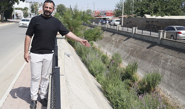 Kuraklıktan kuruyan sulama kanalı sinek yuvası oldu