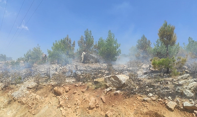Mersin'de 4 ayrı noktada çıkan orman yangınları söndürüldü
