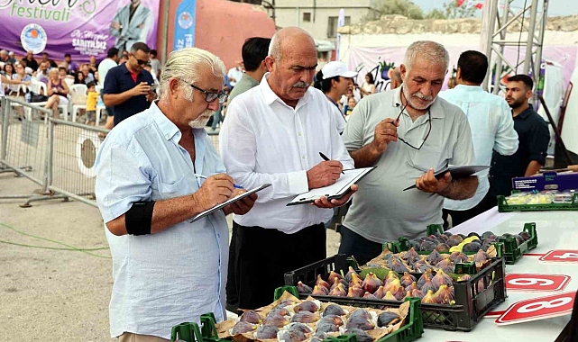 Mersin'de 'Bağlarbaşı İncir Festivali' düzenlendi