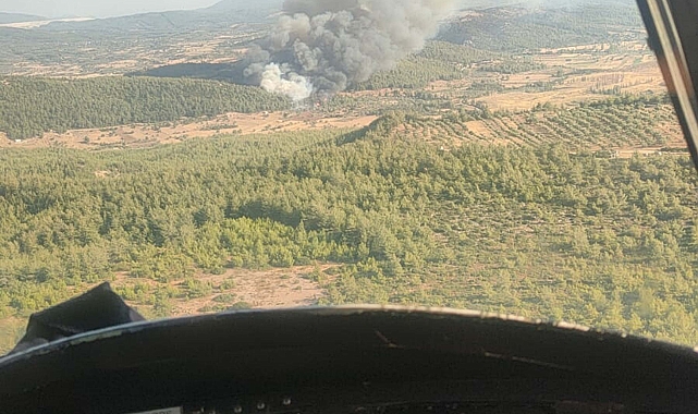 Milas'ta orman yangını