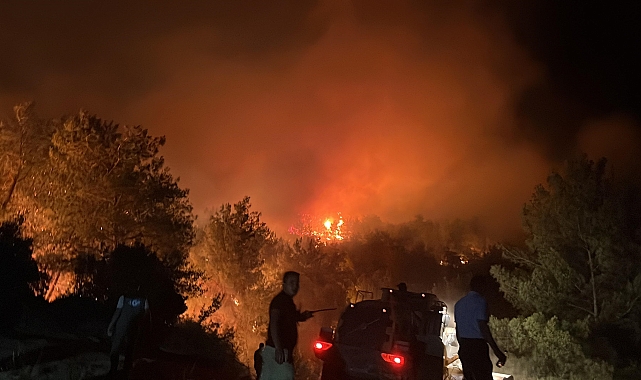 Milas'ta orman yangını