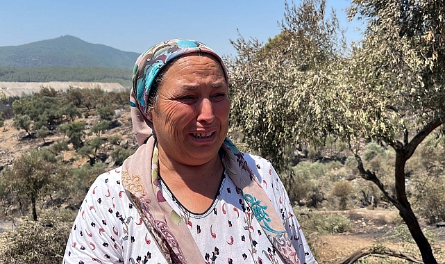 Milas'taki orman yangınında 2'nci gün; kontrol altında